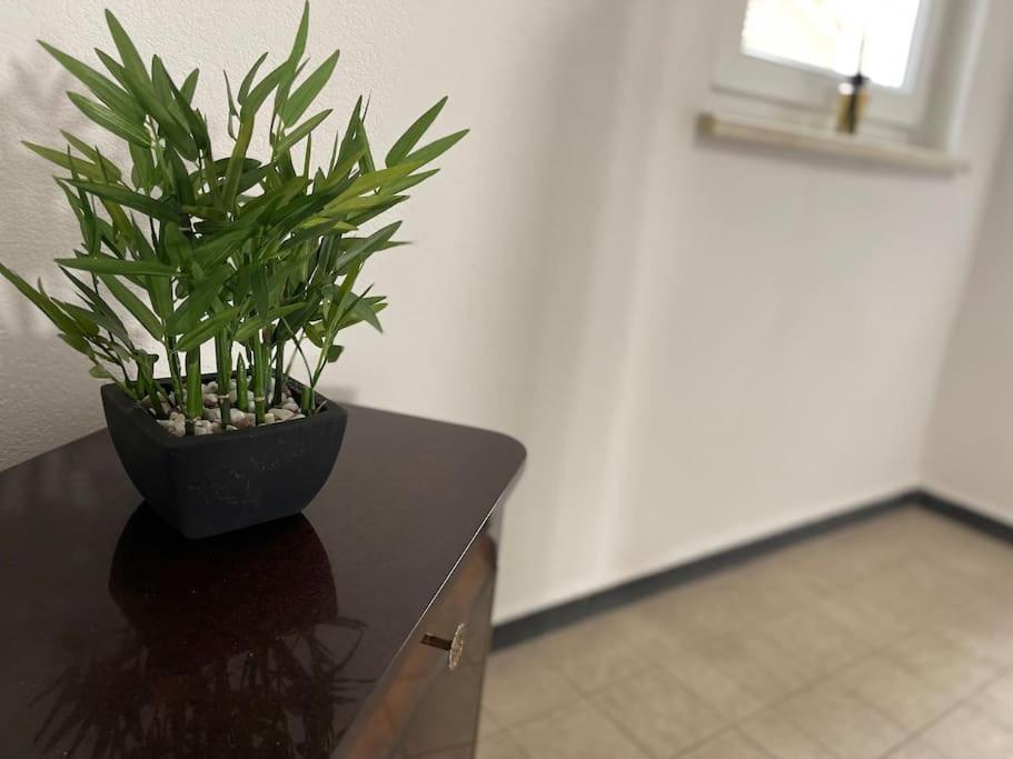 Appartements « La Parenthese » ويسيمبورغ المظهر الخارجي الصورة